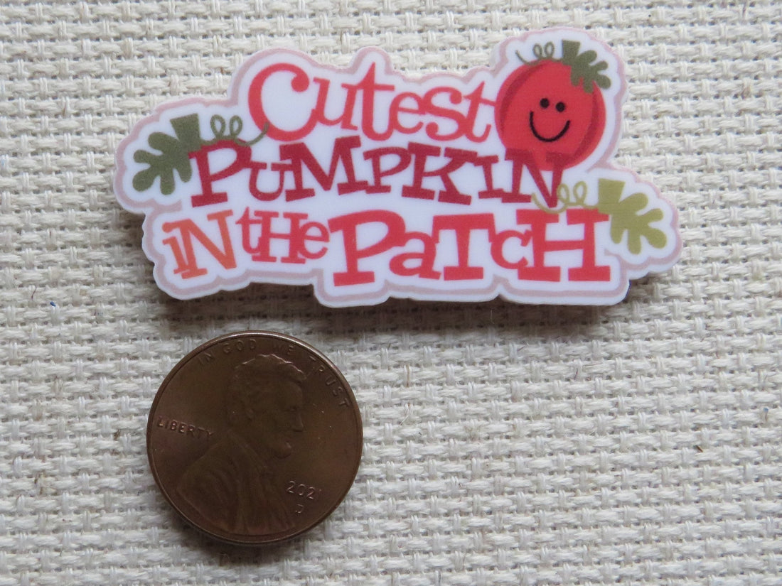 First view of Cutest Pumpkin In The Patch Needle Minder.